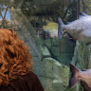 Meet your Posher, Jenny